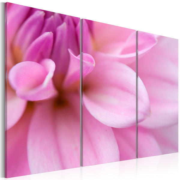 Bild - Rosa Dahlie 60x40cm Erroi prezzo