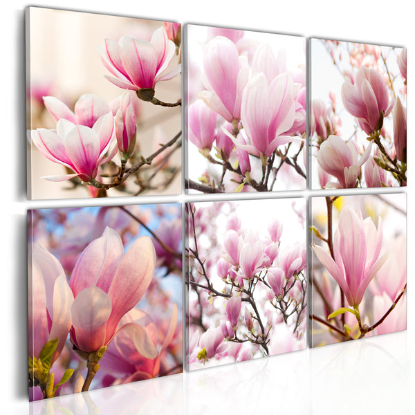 sconto Poster - Südliche Magnolien Erroi