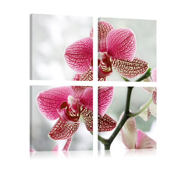 Leinwandbild - Fantasie-Orchidee Erroi sconto