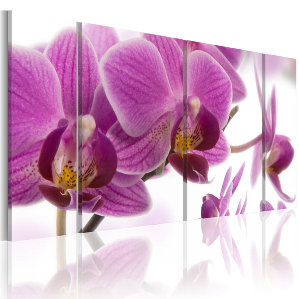 Poster - Wunderbare Orchidee Erroi acquista