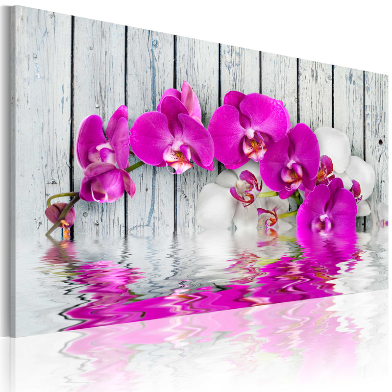 Quadro - Armonia: Orchidea 60X40Cm Erroi-1