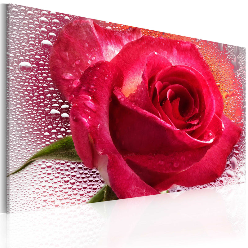 Quadro - Lady Rose 60X40Cm Erroi-1