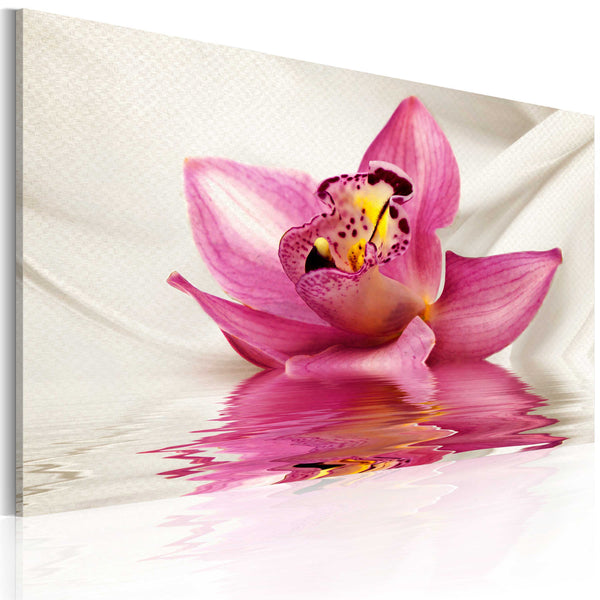 sconto Poster - Ungewöhnliche Orchidee Erroi