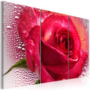 Quadro - Lady Rose - Triptych 60X40Cm Erroi-1