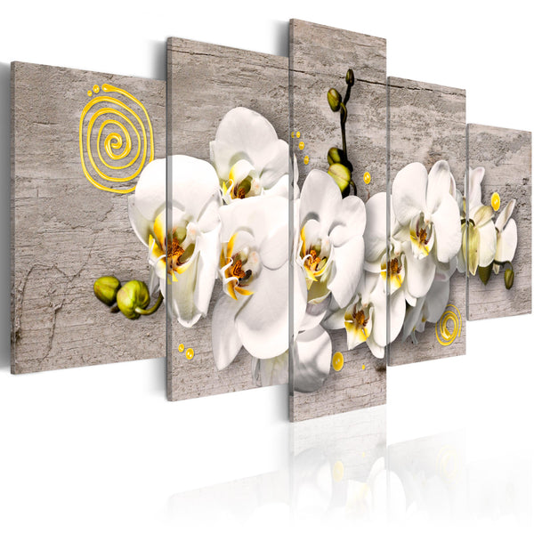 Poster - Sunny Orchids - 5 Stück Fehler sconto