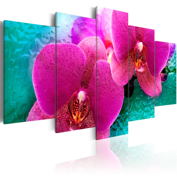 Poster - Exotische Orchideen Erroi online