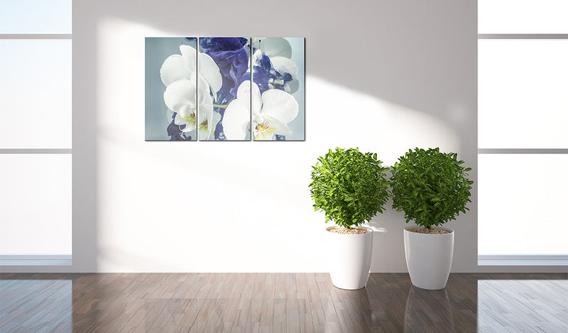 Quadro - Orchidee Chimeriche 60X40Cm Erroi-2