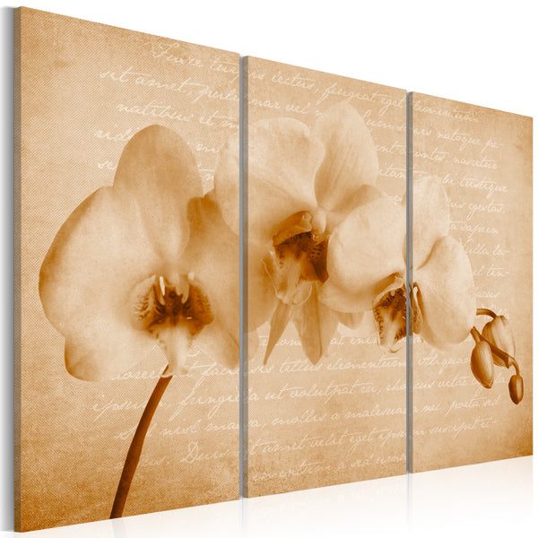 Rahmen - Orchidee - Vintage 60x40cm Erroi prezzo