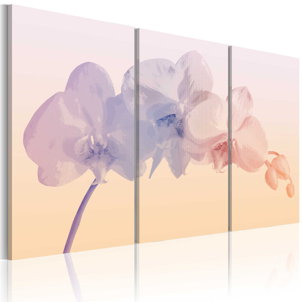 online Bild - Orchidee Spectrum 60x40cm Erroi