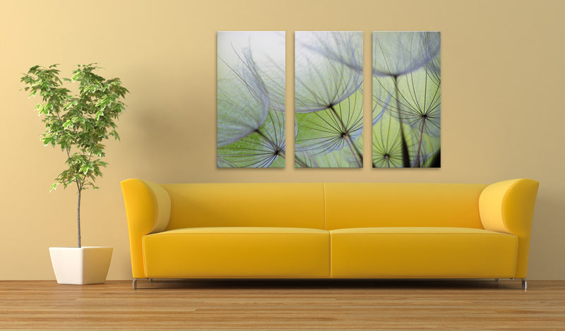 Quadro - Dandelions On The Meadow 60X40Cm Erroi-2