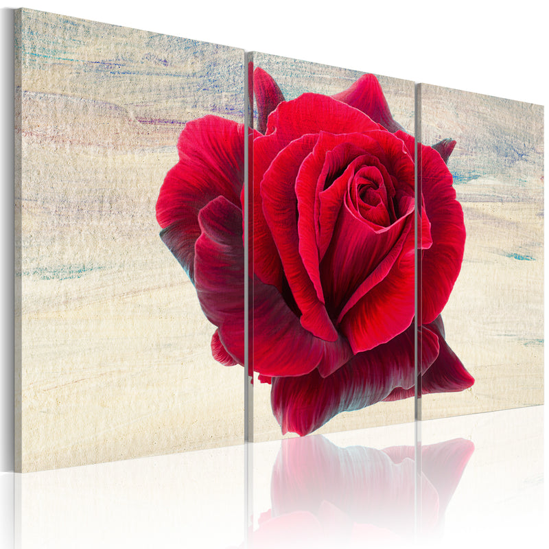 Quadro - Rosa Lirica 60x40cm Erroi-1