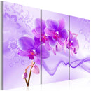 Quadro - Orchidea Eterica - Viola 60X40Cm Erroi-1