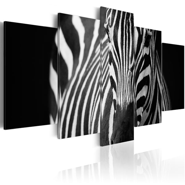 Poster - Zebra-Erroi-Blick prezzo