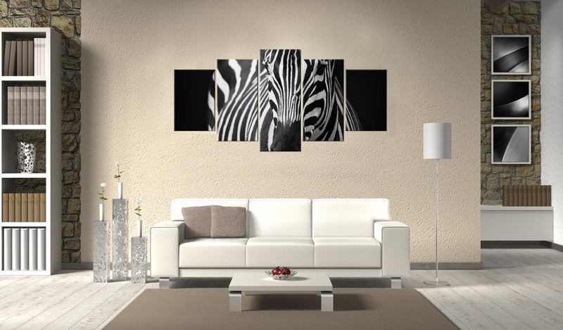 Quadro - Sguardo Di Zebra Erroi-2