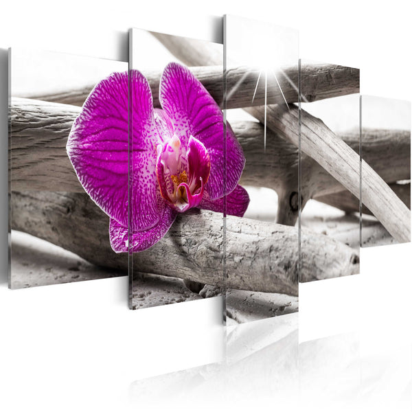 sconto Kunstwerk - Orchidee am Strand 100x50cm Erroi