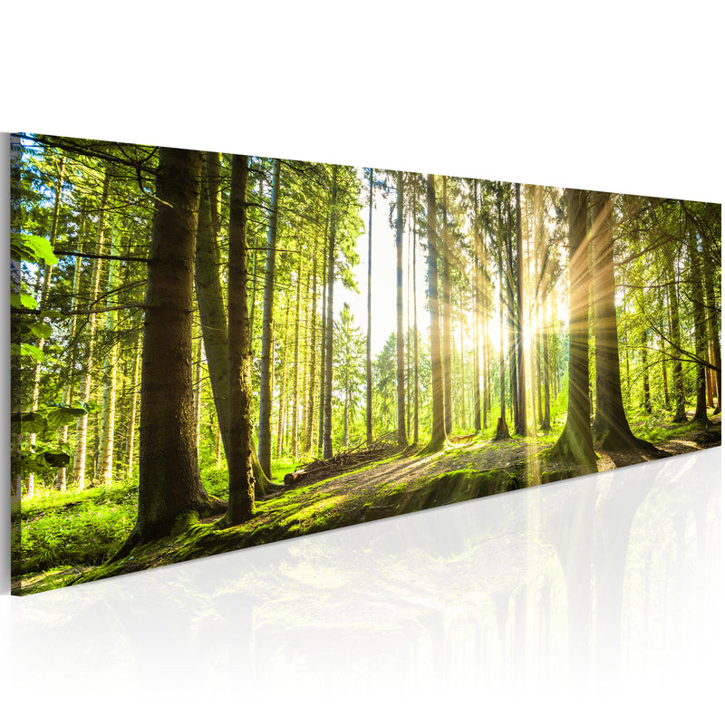 Quadro - Daylight 120X40Cm Erroi-1