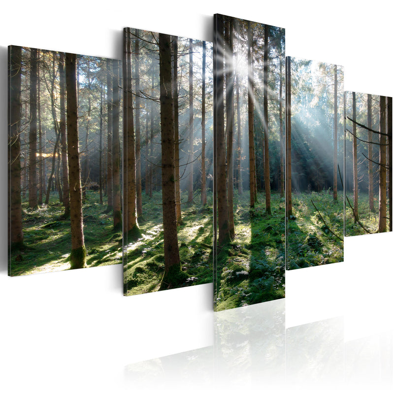 Quadro - Fairytale Forest 100X50Cm Erroi-1