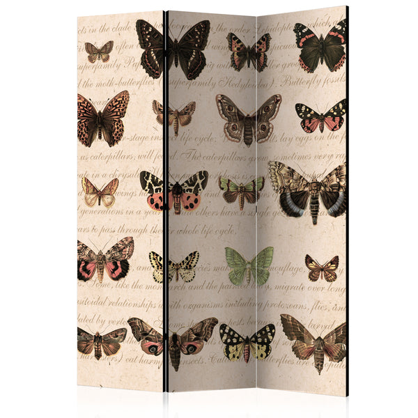 online Paravento 3 Pannelli - Retro Style - Butterflies 135x172cm Erroi