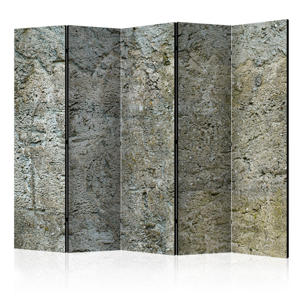 online Paravent 5 Paneele - Stony Barriere II 225x172cm Erroi