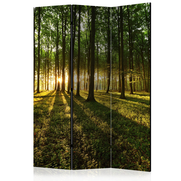 prezzo Paravent 3 Paneele - Morgen im Wald 135x172cm Erroi