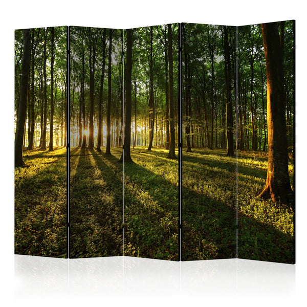 Raumteiler 5 Paneele - Morgen im Wald II 225x172cm Erroi sconto