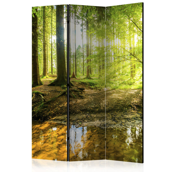 acquista Paravent 3 Paneele - Forest Lake 135x172cm Erroi