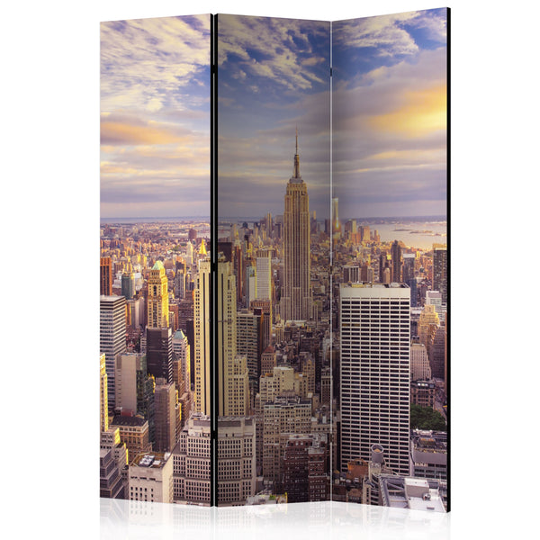 Paravent 3 Paneele - New York Morning 135x172cm Erroi sconto