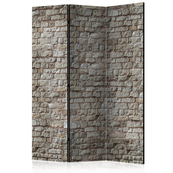 Bildschirm 3 Panels - Realität 135x172cm Erroi acquista