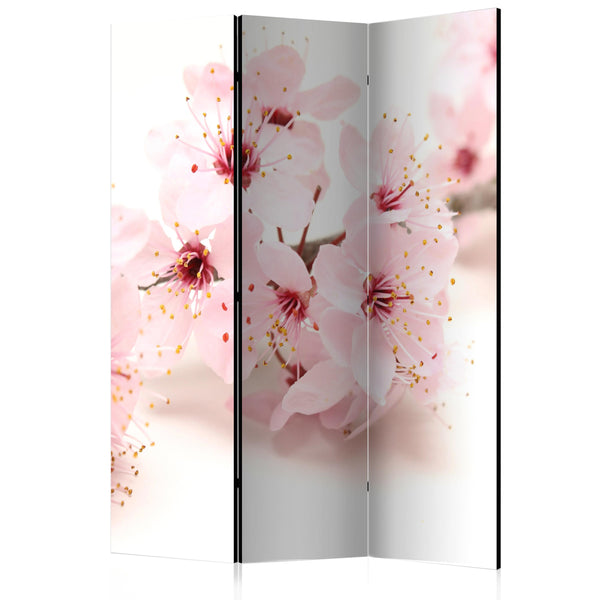 Paravent 3 Panels - Cherry Blossom 135x172cm Erroi prezzo