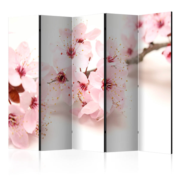 Raumteiler 5 Paneele - Cherry Blossom II 225x172cm Erroi sconto