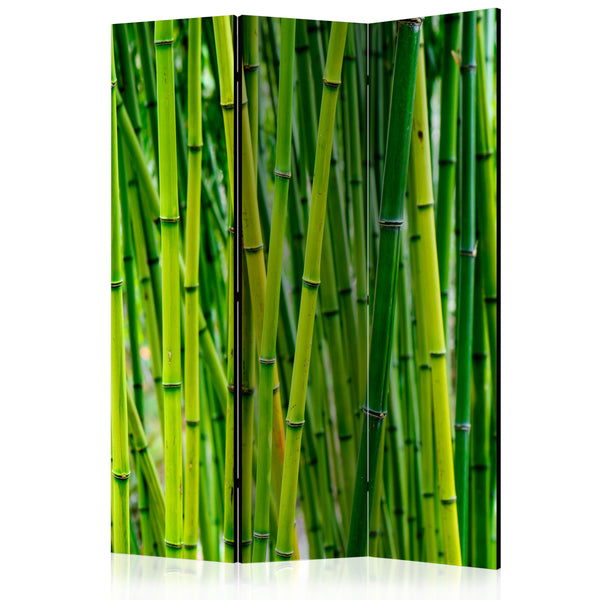 Paravento 3 Pannelli - Bamboo Forest 135x172cm Erroi acquista