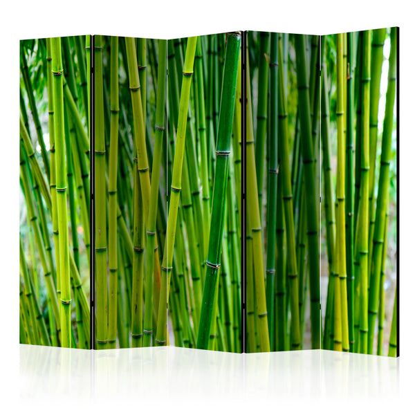 Paravento 5 Pannelli - Bamboo Forest II 225x172cm Erroi online