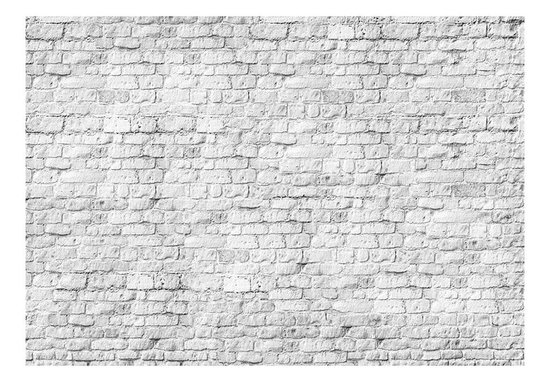 Carta da Parati Fotomurale - White Brick 2 100x70 cm Erroi-2