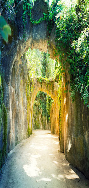 Carta da Parati Fotomurale per Porta - Rocky Garden 70x210 cm Erroi-2