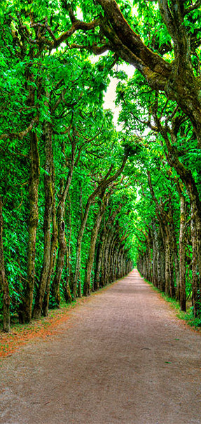 Carta da Parati Fotomurale per Porta - Mysterious Alley 80x210 cm Erroi-2