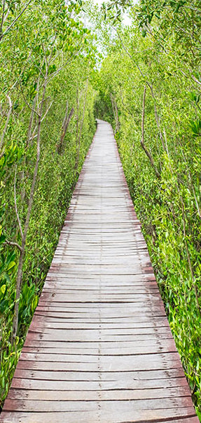 Carta da Parati Fotomurale per Porta - The Path Of Nature 90x210 cm Erroi-2