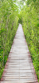 Carta da Parati Fotomurale per Porta - The Path Of Nature 80x210 cm Erroi-2