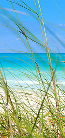 Carta da Parati Fotomurale per Porta - Summer Wind 100x210 cm Erroi-2