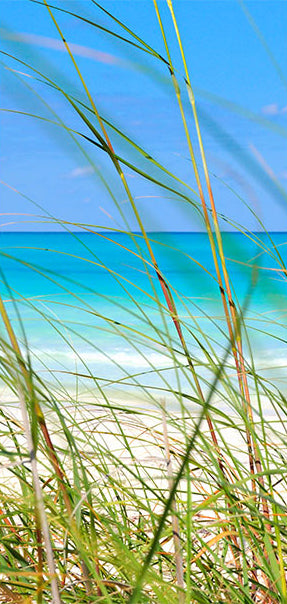 Carta da Parati Fotomurale per Porta - Summer Wind 100x210 cm Erroi-2