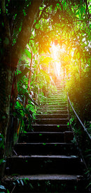 Carta da Parati Fotomurale per Porta - Stairs in The Urban Jungle i 90x210 cm Erroi-2