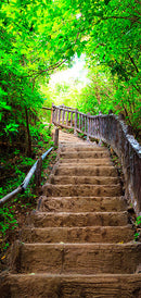 Carta da Parati Fotomurale per Porta - Stairs From Nature i 100x210 cm Erroi-2