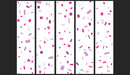 Fotomurale - Pink Confetti 50X1000 cm Carta da Parato Erroi-2