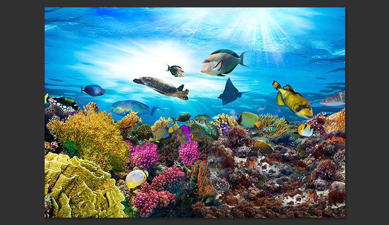 Fotomurale - Coral Reef 300X210 cm Carta da Parato Erroi-2