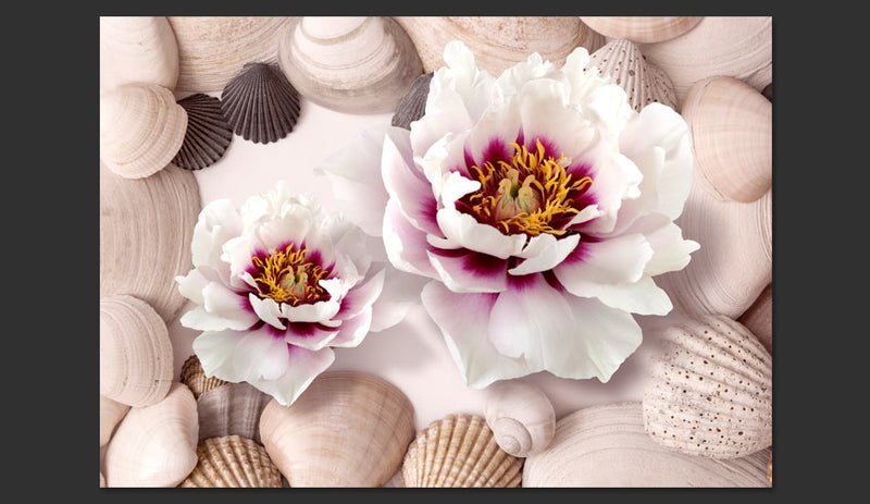 Fotomurale - Flowers And Shells 300X210 cm Carta da Parato Erroi-2