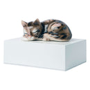 Urna Cineraria in Legno con Miniatura in Ceramica Gatto 10x20x15cm GMF Bianco-1