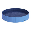 Piscina Pieghevole per Cani in PVC Azzurro Ø160x30h cm -1