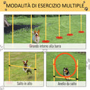 Set Addestramento per Cani con Paletti e Anello  Agility Dog-5