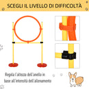 Set Addestramento per Cani con Paletti e Anello  Agility Dog-6