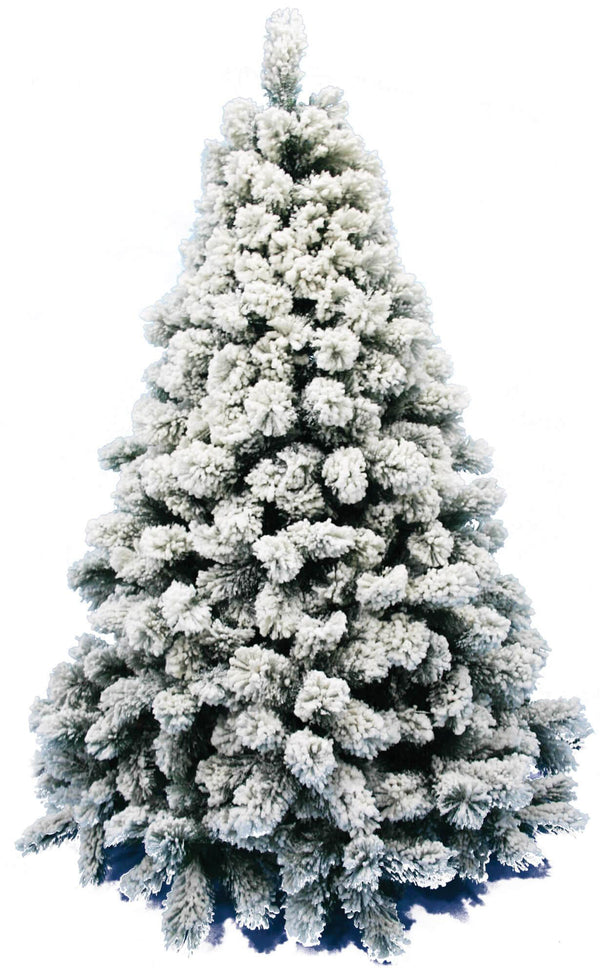 Schneebedeckter Weihnachtsbaum Mont Blanc online