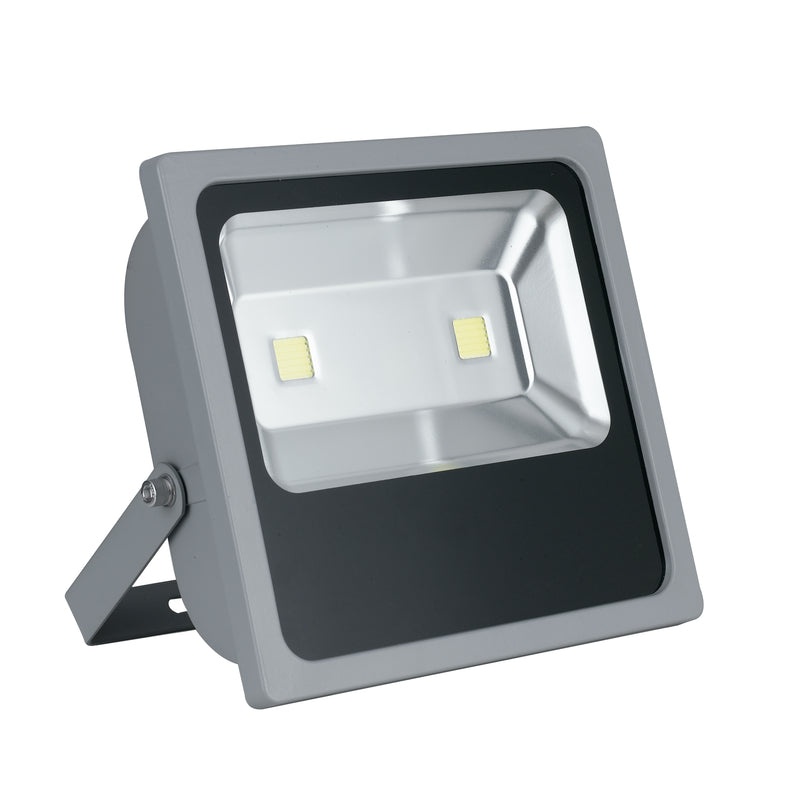 Proiettore Parete Esterno Alluminio Silver Led 100 watt Luce Fredda Intec LED-ELIOS/100W-1